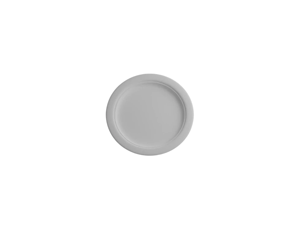 Compostable Dinner Plates best Compostable Dinner Plates best